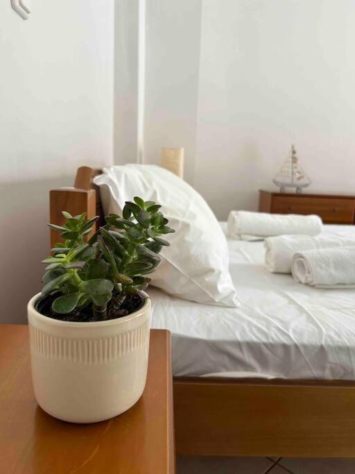 Cozy Studio In Skala, Agistri Daire Dış mekan fotoğraf